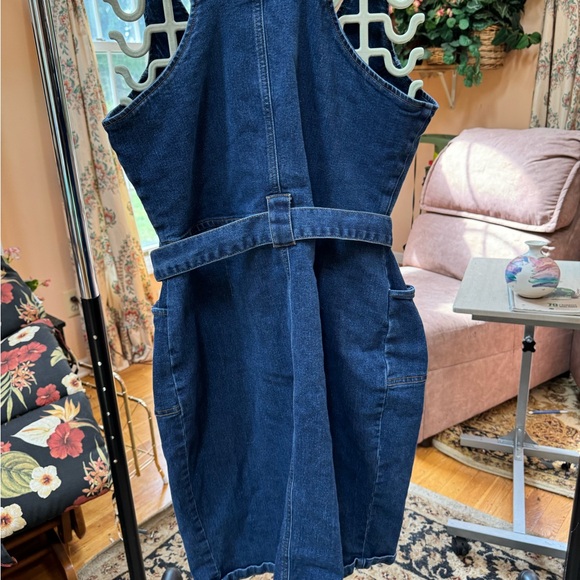 Venus Denim Dress With Zipper - Picture 5 of 5